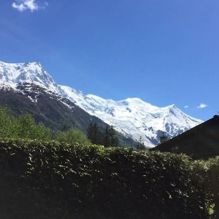 Studio Au Calme Avec Jardin Et Vue Mont-Blanc Chamonix Buitenkant foto