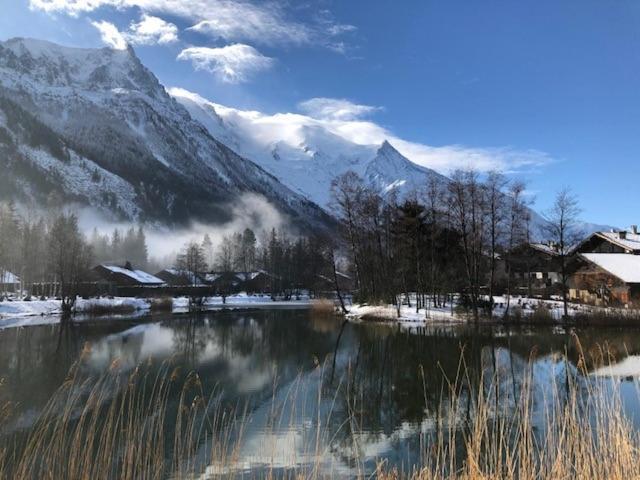 Studio Au Calme Avec Jardin Et Vue Mont-Blanc Chamonix Buitenkant foto
