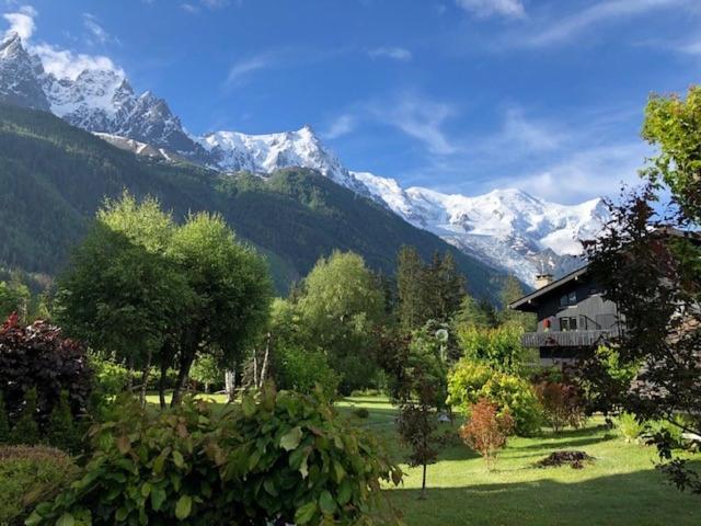 Studio Au Calme Avec Jardin Et Vue Mont-Blanc Chamonix Buitenkant foto